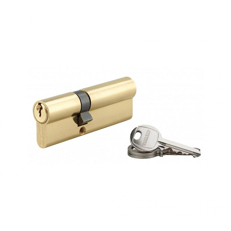 Thirard Cylindre de Serrure 35 x 55 mm 3 clés 16303 Thirard Kobleo