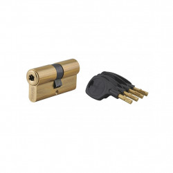 Thirard Cylindre de serrure 31 x 31 mm 4 clés laiton 216730 Thirard Kobleo