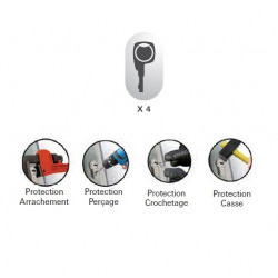 Thirard Cylindre profilé 2 entrées 33x43mm NickelVelours 4 clés Cobra 2 Evolut Kobleo