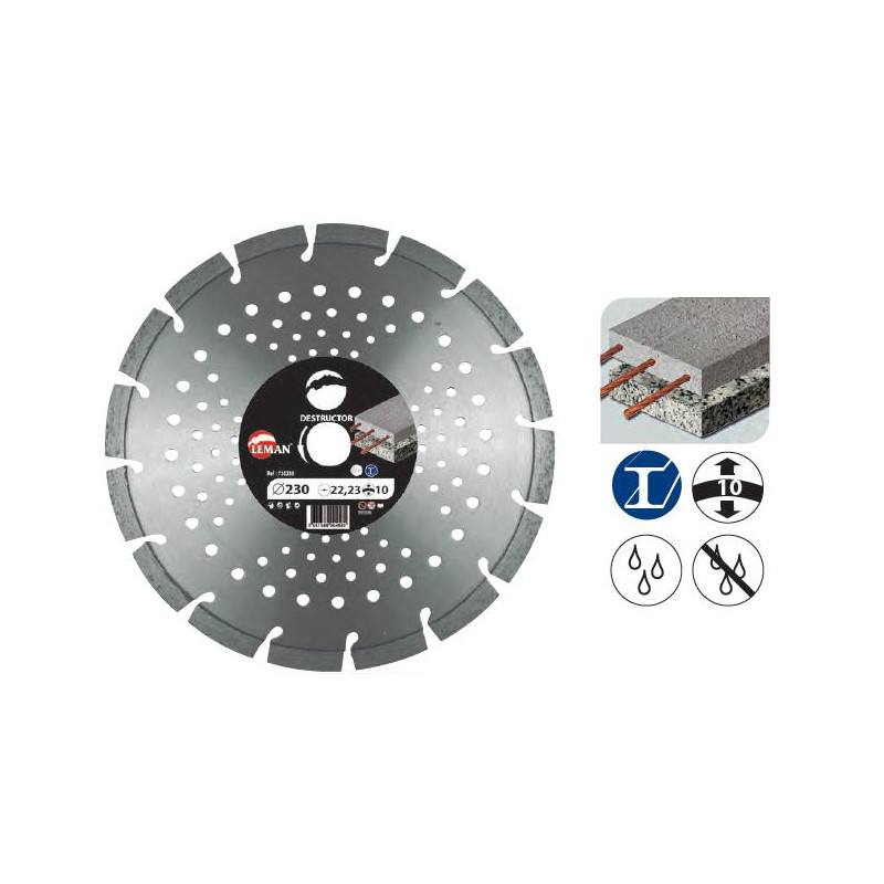 Leman Disque Diamant Segments Béton Armé, Acier 300x20 Ht 10 Leman Kobleo