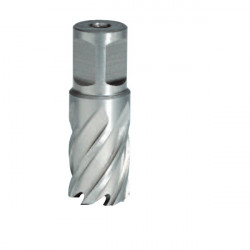 Sidamo Fraise Hss H25mm Weldon 19 Mm D.24 Sidamo Kobleo