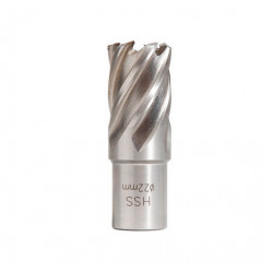 Sidamo Fraise Hss H25mm Weldon 19 Mm D.50 Sidamo Kobleo