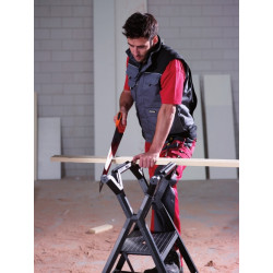 Centaure Marchepied multifonctions 2 marches hauteur d'accès 2,50 m X-O Kobleo