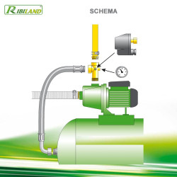 Ribitech Manomètre fileté 1/4M Kobleo