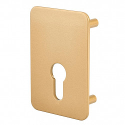 Thirard Plaque renfort porte isoplane type Capital à cylindre profilé époxy br Kobleo