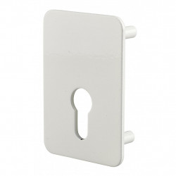 Thirard Plaque renfort porte isoplane type Capital à cylindre profilé époxy bl Kobleo