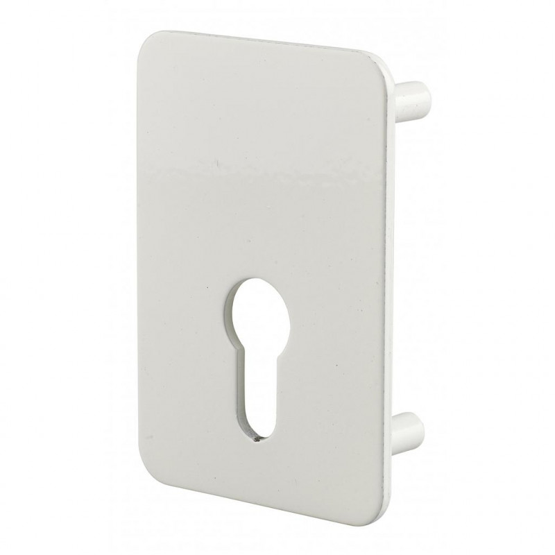 Thirard Plaque Renfort Porte Isoplane Type Capital Cylindre Profil 