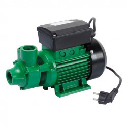 Ribiland Pompe centrifuge 0,5CV 40 l/min PRPC115 Ribiland Kobleo