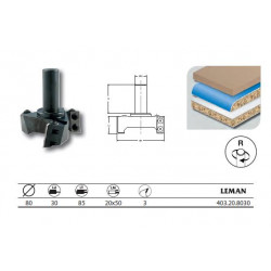 Leman Porte-outils à surfacer diam.80 L.U 30 q.20x50 z3 403.20.8030 Leman Kobleo