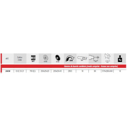 Femi Touret/polisseuse 750W 230V Diam 200 mm avec meule et sans brosse 246/ Femi Kobleo