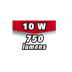 Ribitech Projecteur à LED 10w 750 lumens mural avec détecteur PRSPOT12MDET Kobleo Ribitech Projecteur à LED 10w 750 lumens mural avec détecteur PRSPOT12MDET Kobleo