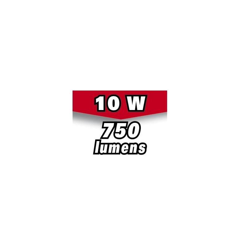 Ribitech Projecteur à LED 10w 750 lumens mural avec détecteur PRSPOT12MDET Kobleo Ribitech Projecteur à LED 10w 750 lumens mural avec détecteur PRSPOT12MDET Kobleo