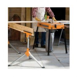 Triton Servante Multi-fonctions MSA200 Triton Kobleo