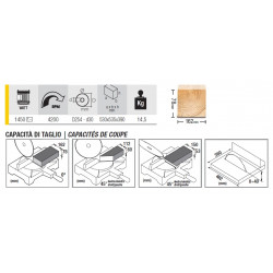 Femi Scie à onglet TR 240 1450W D254mm avec déligneuse Femi Kobleo