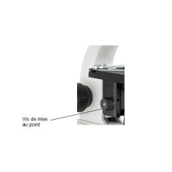 Kern sohn Microscope trinoculaire OBE 114 objectifs 4x/10x/40x/100x Kern Kobleo