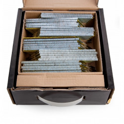 DeWalt 2200 Pointes crantées galvanisées 2,8x50mm DNPT28R50G12Z DeWalt Kobleo