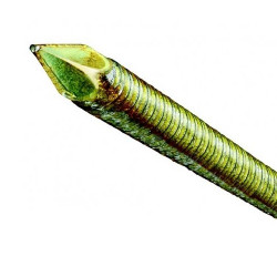 DeWalt 2200 Pointes crantées galvanisées 2,8x63mm DNPT28R63Z DeWalt Kobleo