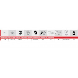 Femi Polisseuse 750W 230V Diam 200 mm sans brosses 213 Femi Kobleo