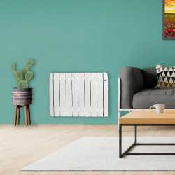 Haverland Radiateur RC8V à inertie fluide caloporteur 1000W avec fil pilote Kobleo Haverland Radiateur RC8V à inertie fluide caloporteur 1000W avec fil pilote Kobleo