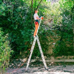 Hoström Echelle 3 plans StablePRO 3x8 marches hauteur travail max 5,05m Hostrom Kobleo