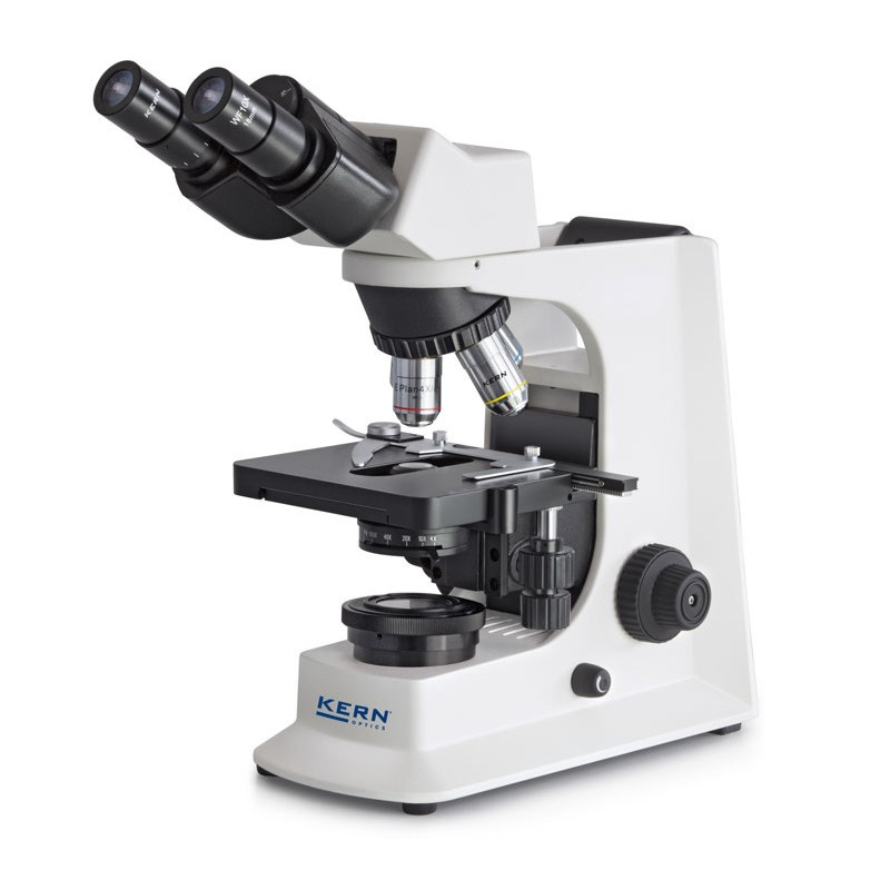 Kern sohn Microscope binoculaire OBL 125 halogène 20W 4x/10x/40x/100x - Kern Kobleo