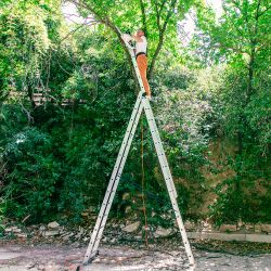 Hoström Echelle 3 plans StablePRO 3x14 marches hauteur travail max 9,62m Hostrom Kobleo