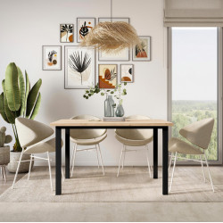 Emuca Pieds carrés et cadre de table Emuca 1150x750mm acier peint en noir Kobleo