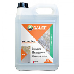 Dalep Anti-salpêtre Dalep 5L traitement prêt à l'emploi Kobleo