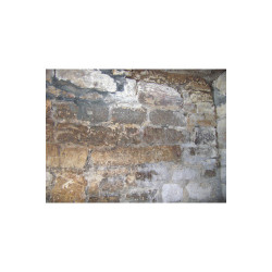 Dalep Anti-salpêtre Dalep 5L traitement prêt à l'emploi Kobleo