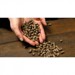 TEN Tuyau rigide TEN 344019 émail noir mat 100cm D80mm avec joint viton Kobleo