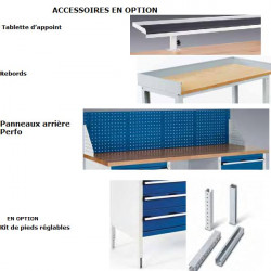 Bott Établi Monobloc L:1500mm 2 compartiments à porte 2 tablettes réglables Kobleo