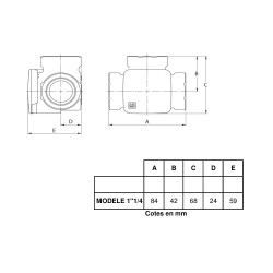 Thermador Vanne thermique Thermador T3361 Termovar 61°C 1''1/4 F Kobleo