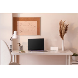 Thermor Bridge 2 Cozytouch Thermor 400991 pour connecté en wifi Kobleo