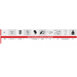 Femi Polisseuse 1100W 400V Diam 250 mm sans brosses 209 Evo Kobleo