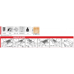 Femi Scie onglet table délignage 1700W 230V Diam 305mm moteur charbon 999EV Kobleo