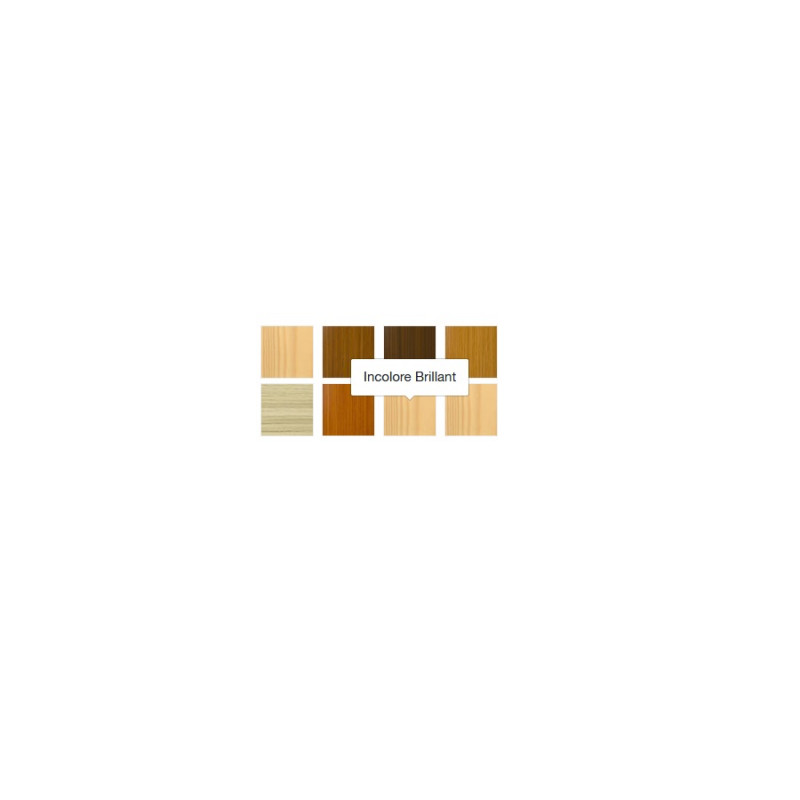 Blanchon Vernis Blanchon EXP 2,5L incolore brillant Kobleo Blanchon Vernis Blanchon EXP 2,5L incolore brillant Kobleo