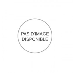 Sidamo Avance auto de table pour perceuse fraiseuse 25FV avance 80mm/min Sidamo Kobleo