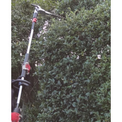 Makita Taille-haie à perche thermique 4 temps 25,4cc EN4950H Makita Kobleo