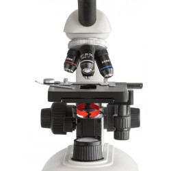 Kern sohn Set de microscope OBE 104C825 trinoculaire 4x/10x/40x et caméra Kern Kobleo