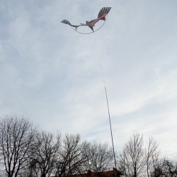 Ribimex Effaroucheur volant Ribimex tenu par piquet au sol 1,75m d'envergure Kobleo