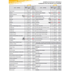 Pramac Groupe électrogène WX6250 ES AVR 6,1KW triphasé Pramac Kobleo