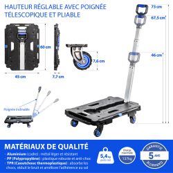 Hoström Chariot à roulettes pliable, Charge max. 137kg, Hostrom Kobleo