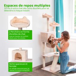 Paitsy Arbre a chat beige H 150cm, PAITSY Kobleo