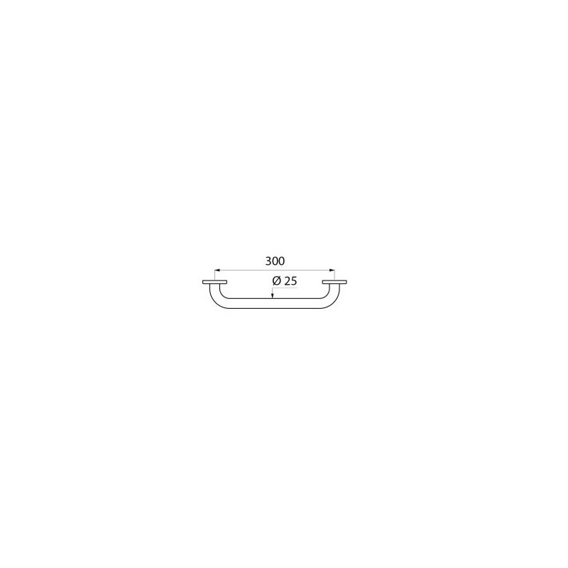 Delabie Barre de maintien droite Delabie ECO brillant D25 entraxe 300mm Kobleo Delabie Barre de maintien droite Delabie ECO brillant D25 entraxe 300mm Kobleo