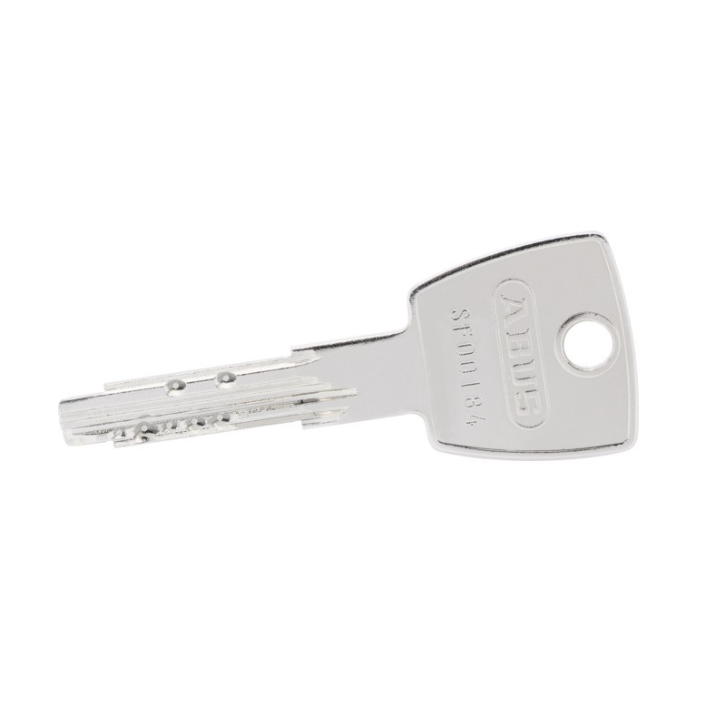 Cylindre de porte EC-S 30x30 avec carte de propriété et 5 clés