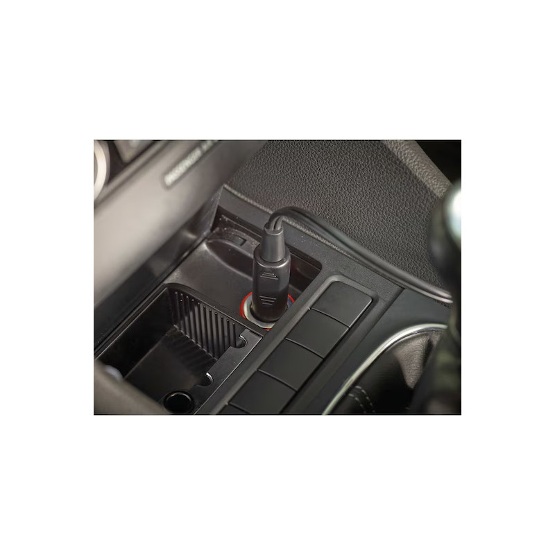 Aspirateur à main spécial voiture PD1200AV-XJ 12V câble 5m bol 560ml