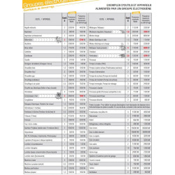 Imer Groupe électrogène ACCES 3000i Inverter 3KW Insonorisé 8,5L Worms Kobleo