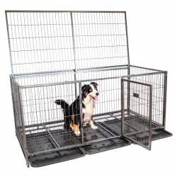 Cage pour chien Mouvedy2XL,...
