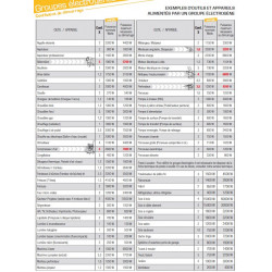Groupe électrogène essence 5,4kW 230V PX8000 Pramac