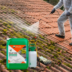 Dalep Traitement Professionnel concentré DALEP 2100 10L Kobleo